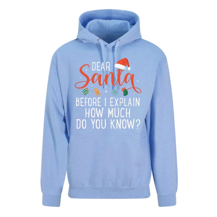 Dear Santa Before I Explain How Much Do You Know Christmas Unisex Surf Hoodie