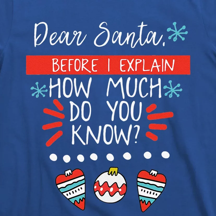 Dear Santa Before I Explain How Much Do You Know Christmas Gift T-Shirt