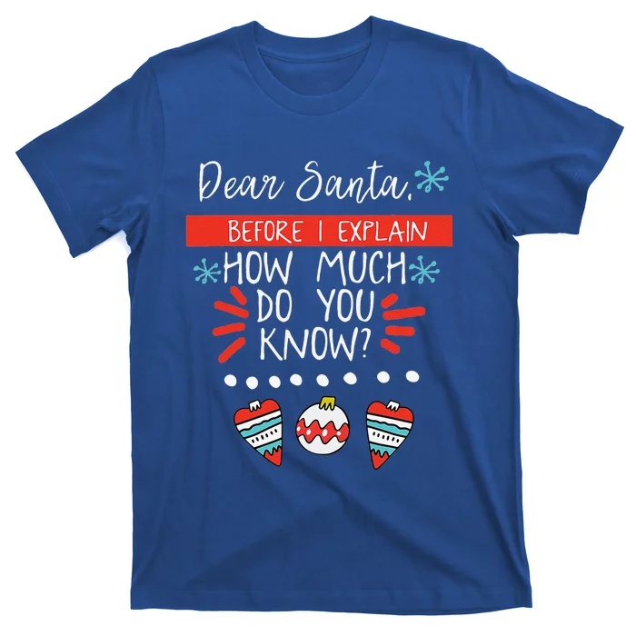 Dear Santa Before I Explain How Much Do You Know Christmas Gift T-Shirt