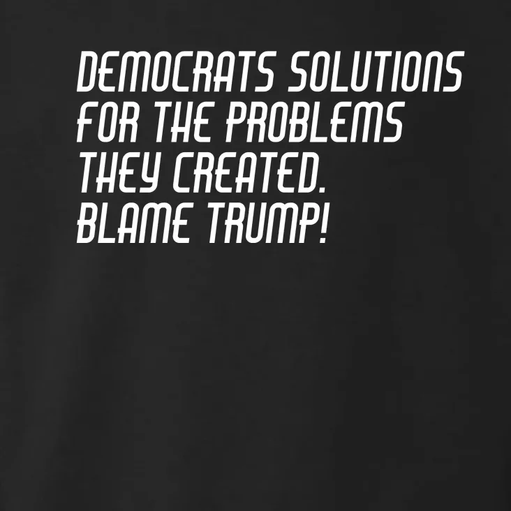 Democrat Solutions Blame Trump Toddler Hoodie