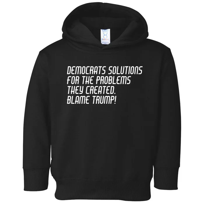 Democrat Solutions Blame Trump Toddler Hoodie