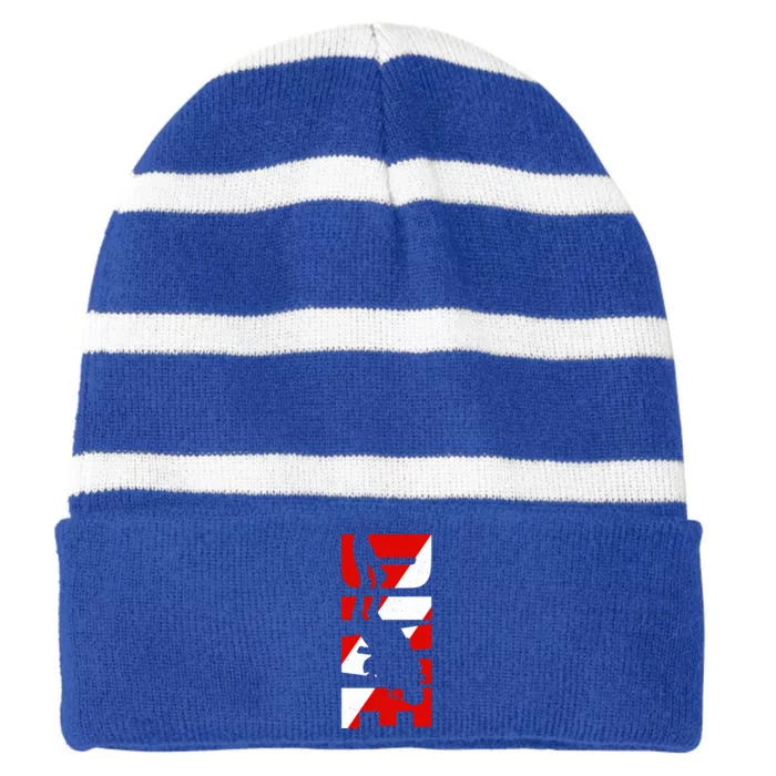 Dive Scuba Diving Funny Gift Scuba Diving Gift Striped Beanie with Solid Band