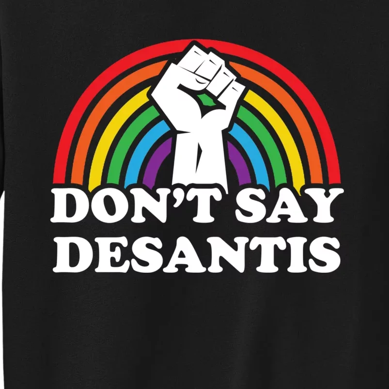 Dont Say DeSantis Florida Say Gay LGBTQ Pride Anti DeSantis Sweatshirt