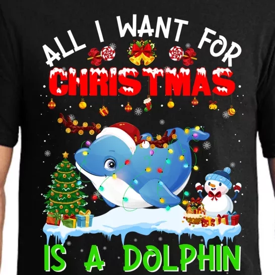 Dolphin Santa Hat Lights Xmas Snowflake Pajama Christmas Tee Gift Pajama Set