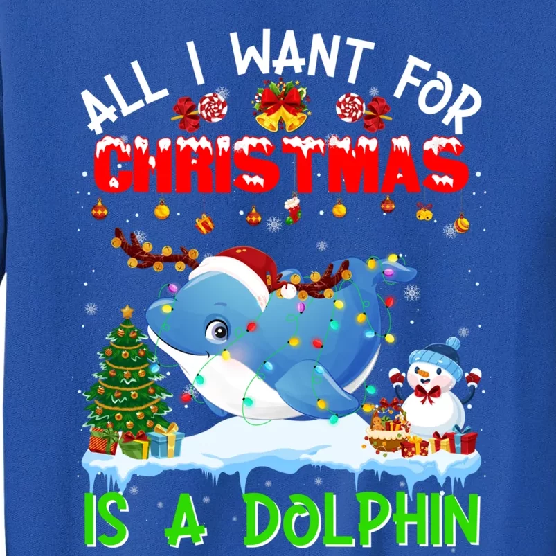 Dolphin Santa Hat Lights Xmas Snowflake Pajama Christmas Tee Gift Sweatshirt