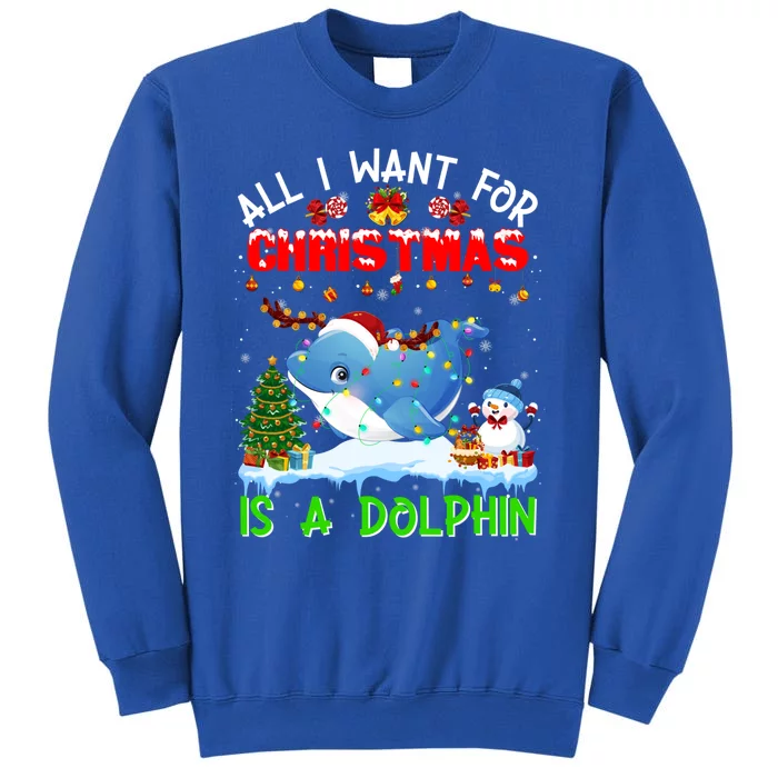 Dolphin Santa Hat Lights Xmas Snowflake Pajama Christmas Tee Gift Sweatshirt