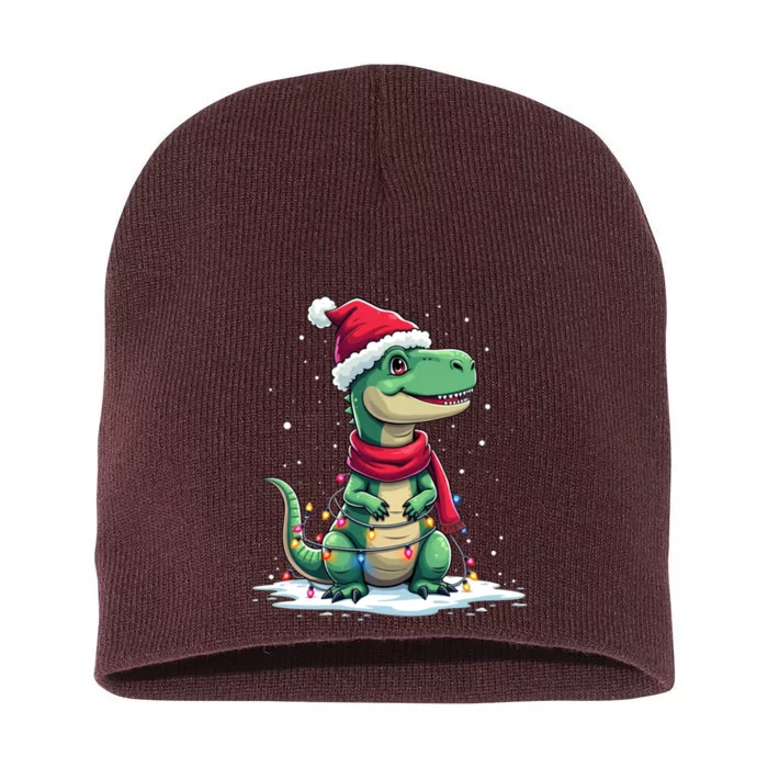 Dinosaur Santa Hat Christmas Tree Lights T Rex Xmas Gift Short Acrylic Beanie