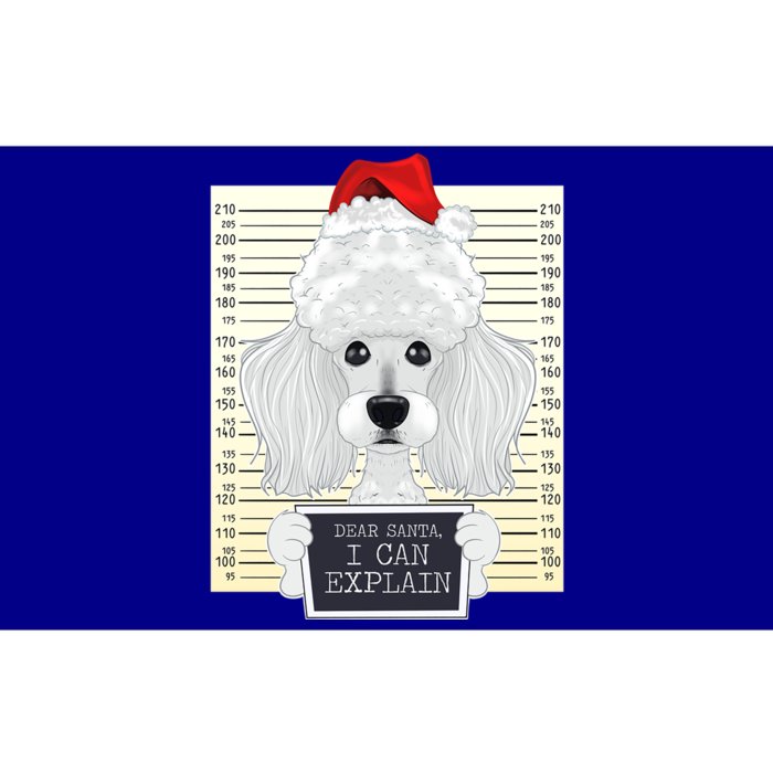 Dear Santa I Can Explain Funny Christmas Poodle Cute Gift Bumper Sticker