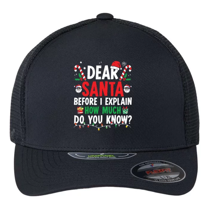 Dear Santa I Can Explain Funny Christmas Flexfit Unipanel Trucker Cap