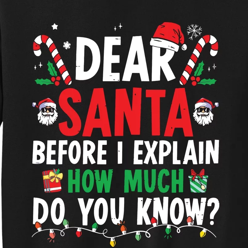 Dear Santa I Can Explain Funny Christmas Tall Sweatshirt