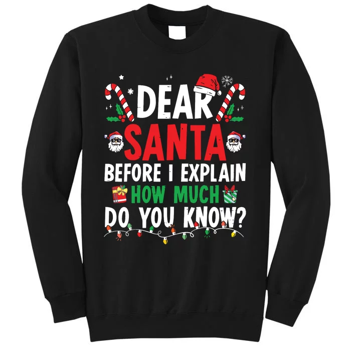 Dear Santa I Can Explain Funny Christmas Tall Sweatshirt