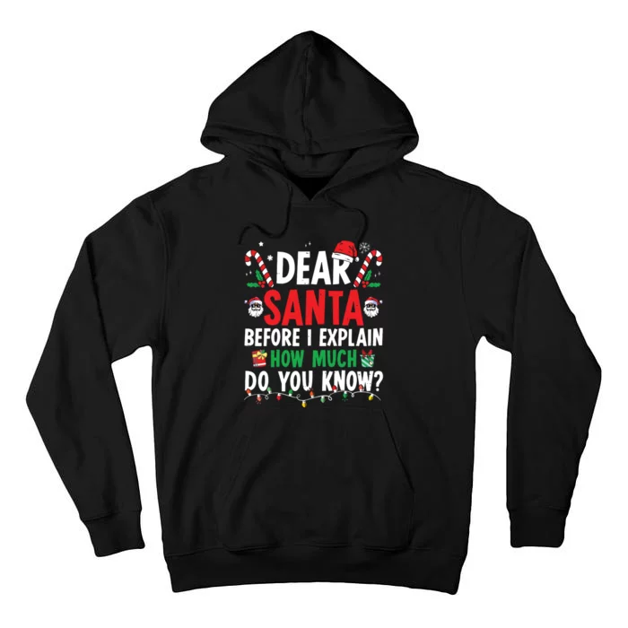 Dear Santa I Can Explain Funny Christmas Tall Hoodie