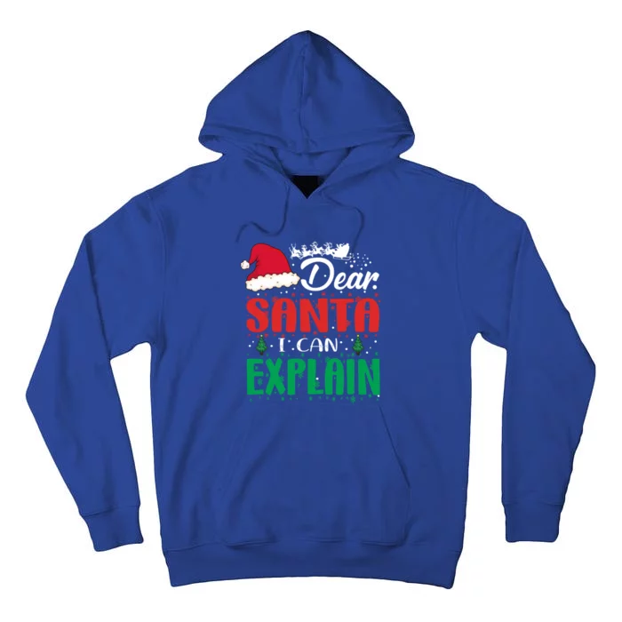 Dear Santa I Can Explain Gift Christmas Funny Novelty Gift Tall Hoodie