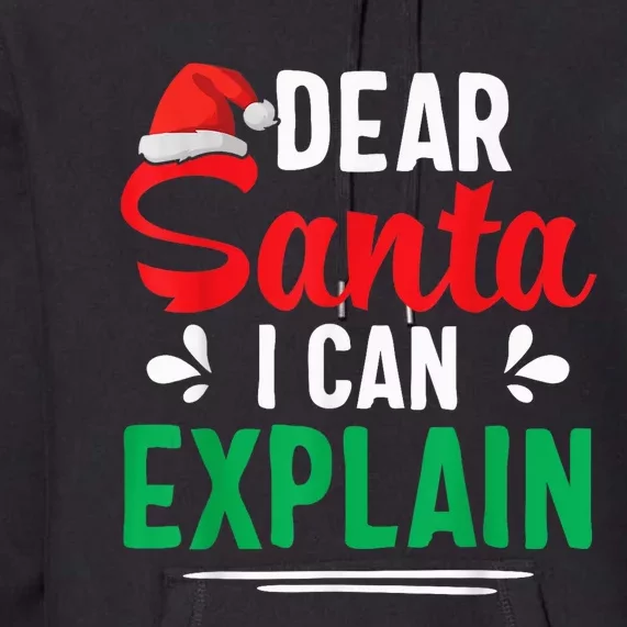 Dear Santa I Can Explain Shirt Funny Christmas Gifts Premium Hoodie