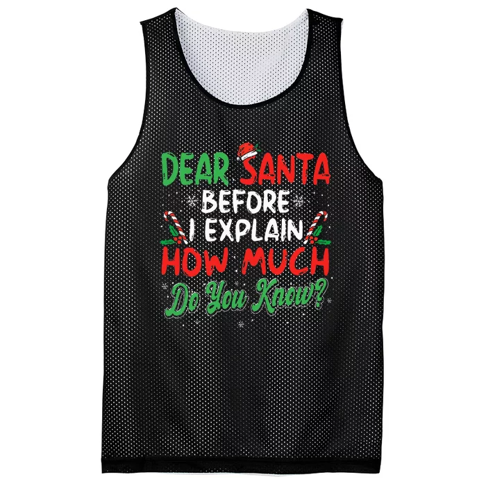 Dear Santa I Can Explain Funny Christmas Mesh Reversible Basketball Jersey Tank