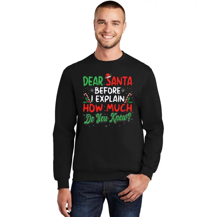 Dear Santa I Can Explain Funny Christmas Tall Sweatshirt