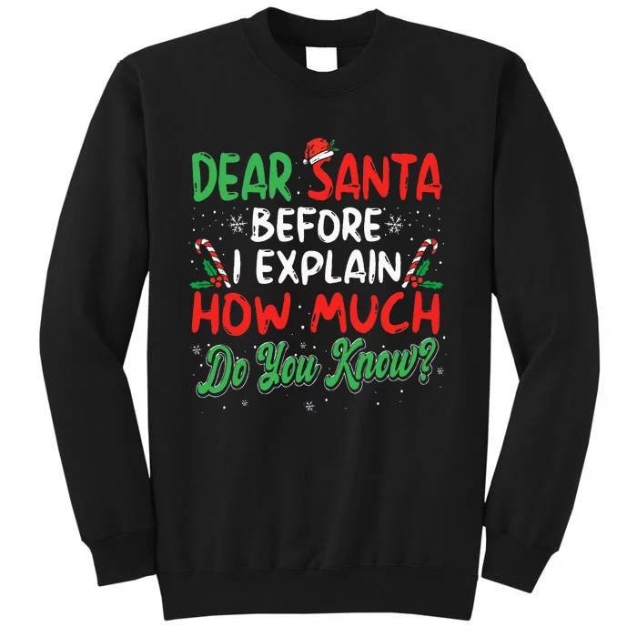 Dear Santa I Can Explain Funny Christmas Tall Sweatshirt