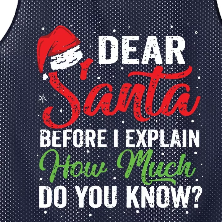 Dear Santa I Can Explain Funny Christmas Adults Mesh Reversible Basketball Jersey Tank