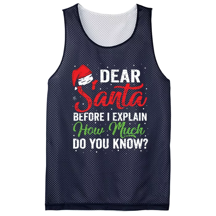 Dear Santa I Can Explain Funny Christmas Adults Mesh Reversible Basketball Jersey Tank