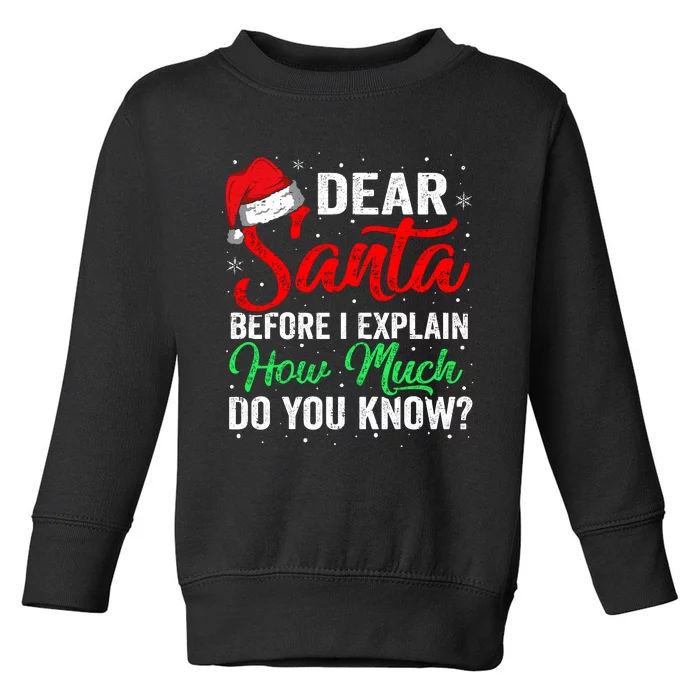 Dear Santa I Can Explain Funny Christmas Kids Adults Toddler Sweatshirt