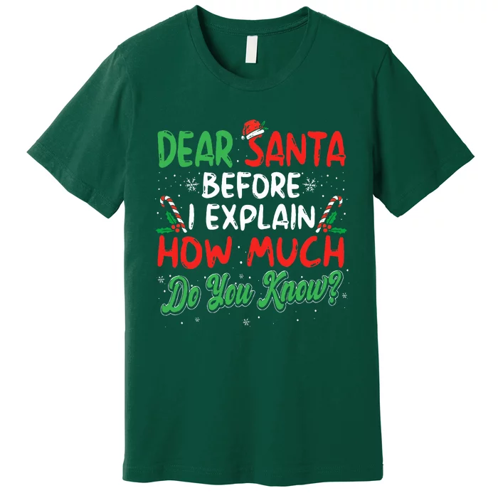 Dear Santa I Can Explain Funny Christmas Premium T-Shirt