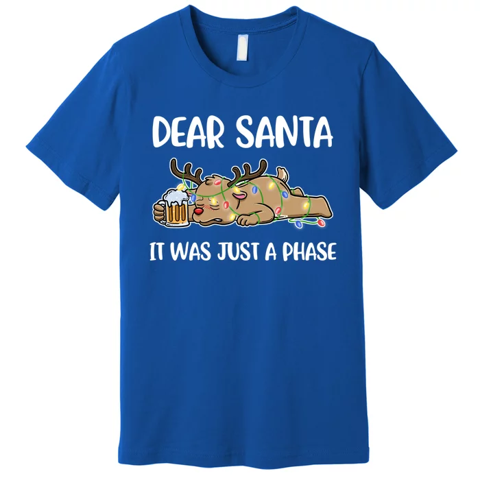 Dear Santa It Was Just A Phase Meaningful Gift Premium T-Shirt