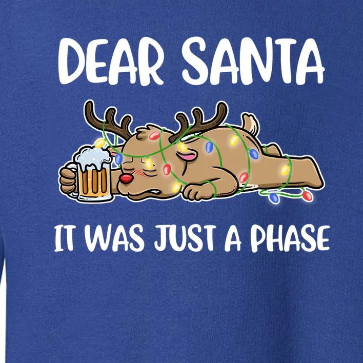 Dear Santa It Was Just A Phase Meaningful Gift Toddler Sweatshirt