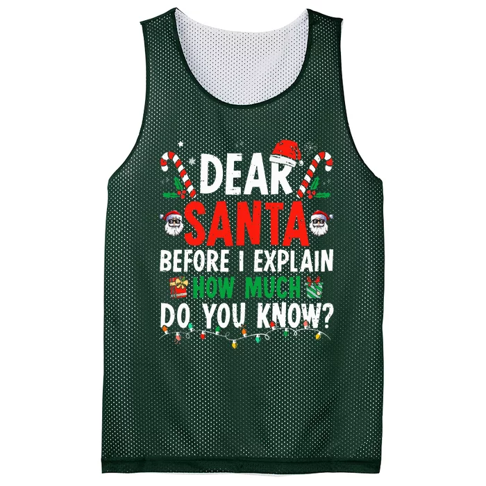 Dear Santa I Can Explain Funny Christmas Mesh Reversible Basketball Jersey Tank