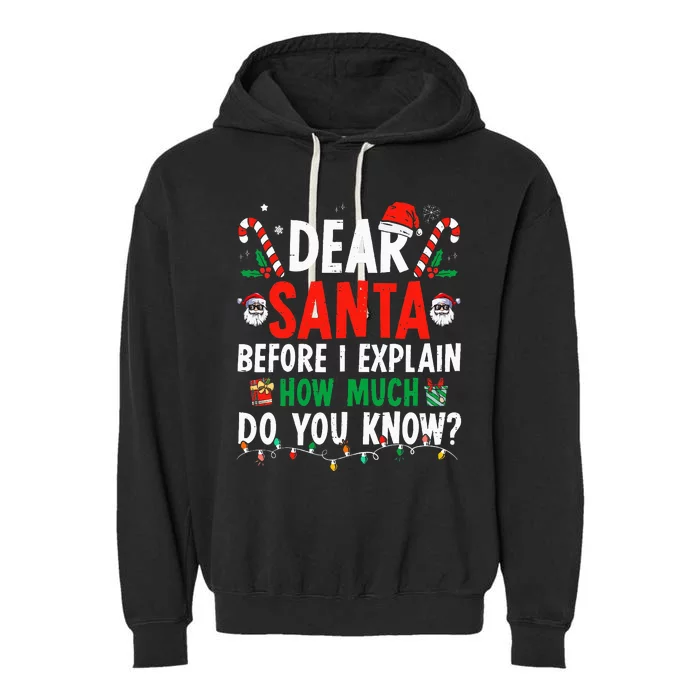 Dear Santa I Can Explain Funny Christmas Adults Garment-Dyed Fleece Hoodie