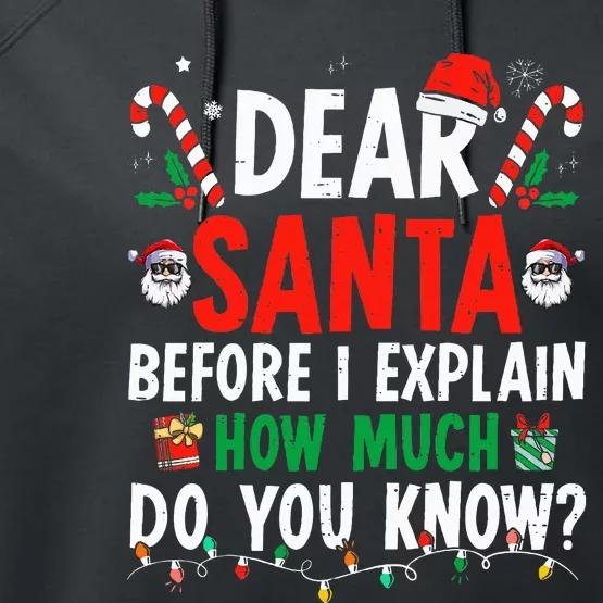 Dear Santa I Can Explain Funny Christmas Adults Performance Fleece Hoodie