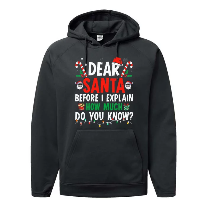 Dear Santa I Can Explain Funny Christmas Adults Performance Fleece Hoodie