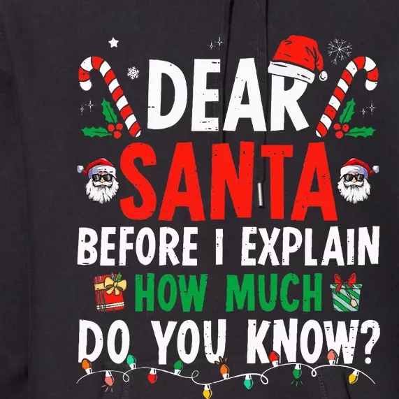 Dear Santa I Can Explain Funny Christmas Adults Premium Hoodie