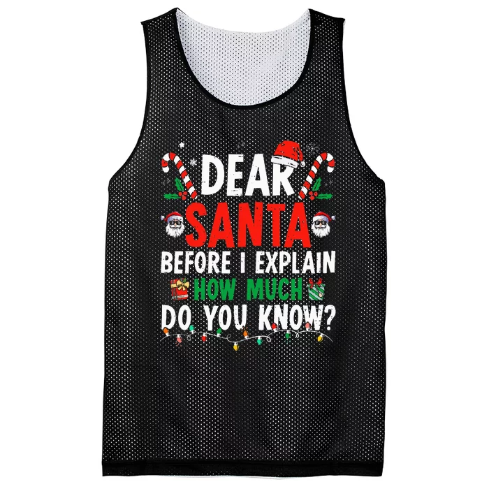 Dear Santa I Can Explain Funny Christmas Adults Mesh Reversible Basketball Jersey Tank