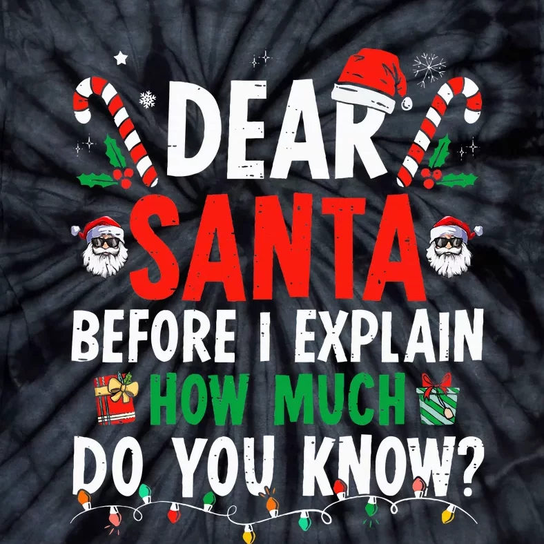 Dear Santa I Can Explain Funny Christmas Adults Tie-Dye T-Shirt