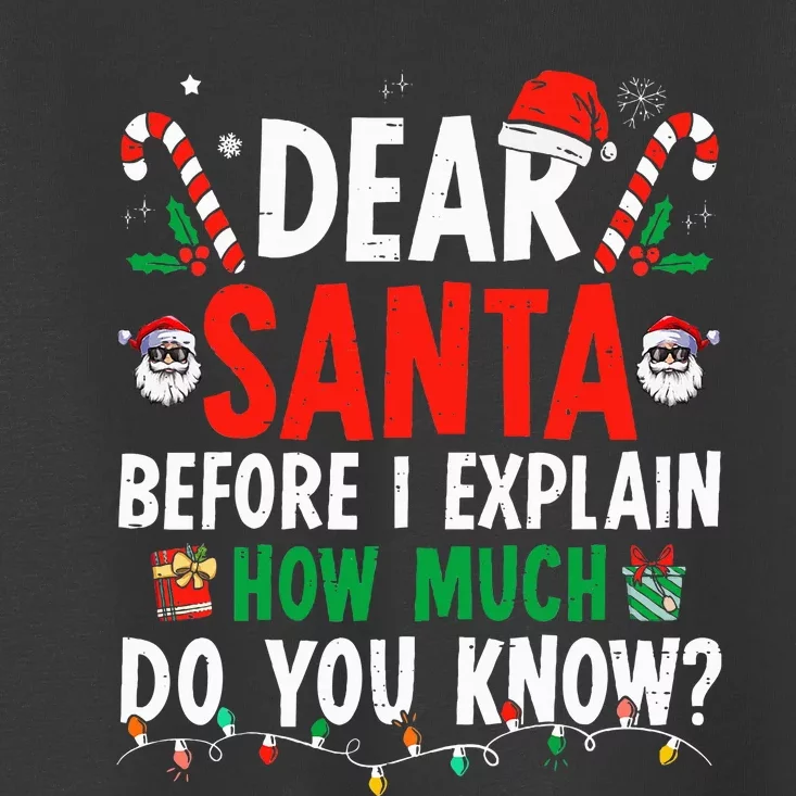 Dear Santa I Can Explain Funny Christmas Adults Toddler T-Shirt