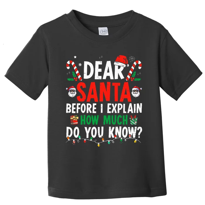 Dear Santa I Can Explain Funny Christmas Adults Toddler T-Shirt