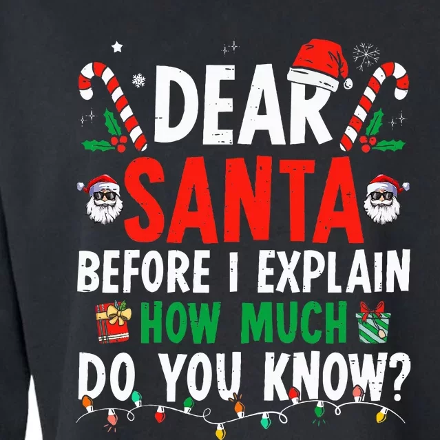 Dear Santa I Can Explain Funny Christmas Adults Cropped Pullover Crew