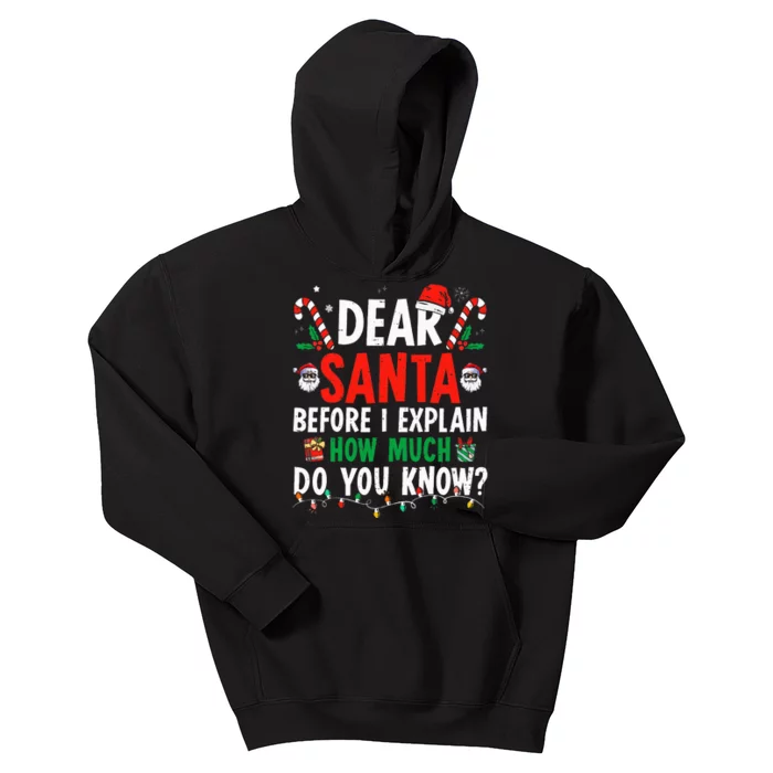 Dear Santa I Can Explain Funny Christmas Adults Kids Hoodie