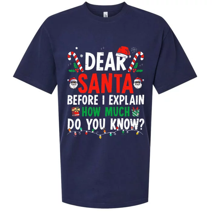 Dear Santa I Can Explain Funny Christmas Adults Sueded Cloud Jersey T-Shirt