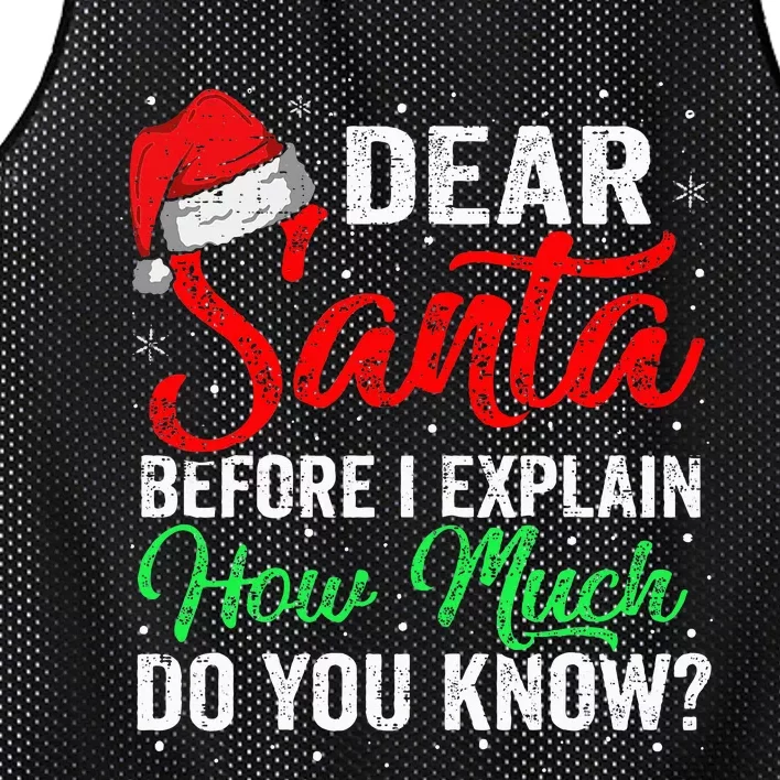 Dear Santa I Can Explain Funny Christmas Mesh Reversible Basketball Jersey Tank