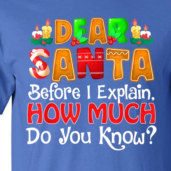 Dear Santa I Can Explain Funny Christmas Quotes For Family Tall T-Shirt