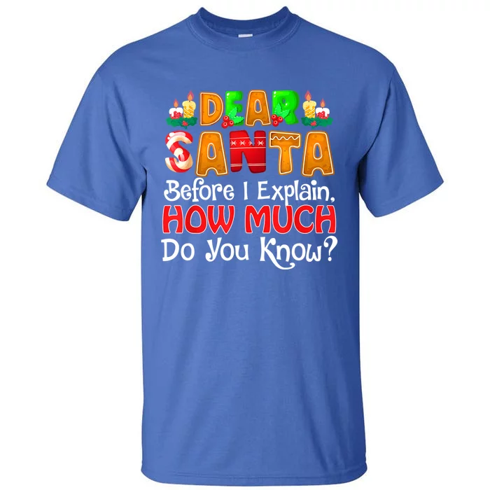 Dear Santa I Can Explain Funny Christmas Quotes For Family Tall T-Shirt