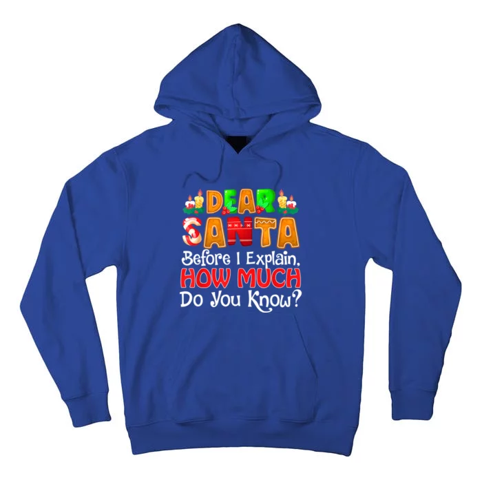 Dear Santa I Can Explain Funny Christmas Quotes For Family Tall Hoodie