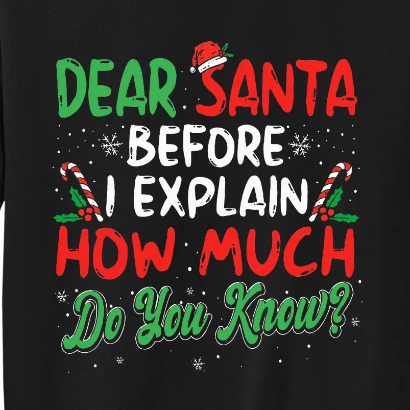 Dear Santa I Can Explain Funny Christmas Tall Sweatshirt