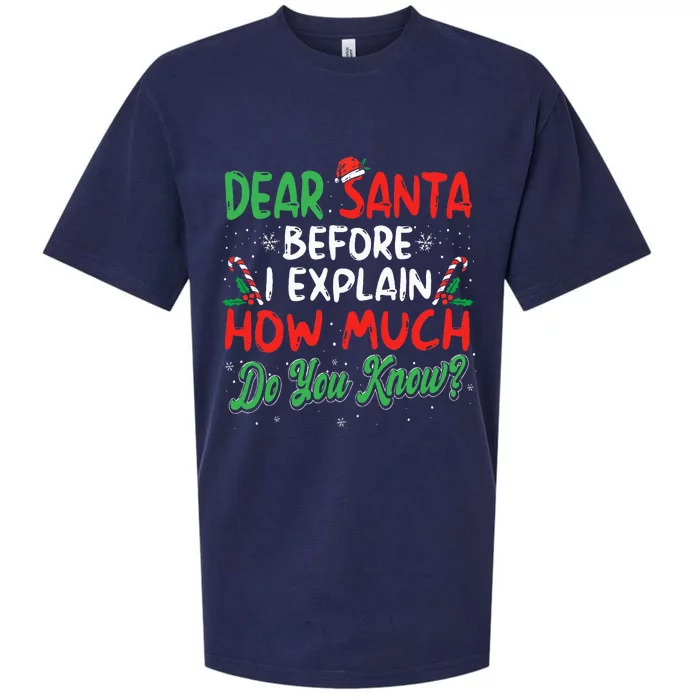 Dear Santa I Can Explain Funny Christmas Sueded Cloud Jersey T-Shirt