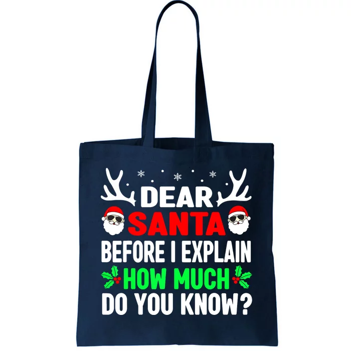 Dear Santa I Can Explain Funny Christmas Gift Tote Bag