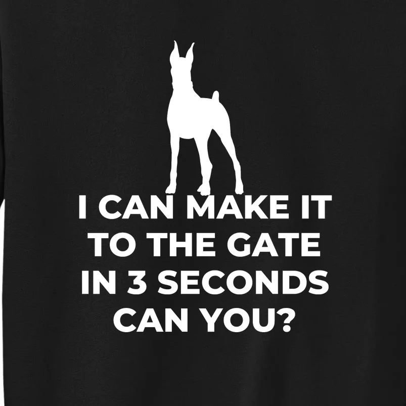 Dog Sign I Can Make It To The Gate In 3 Seconds Can You Sweatshirt