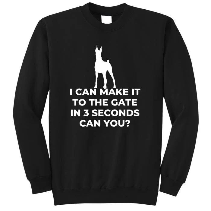 Dog Sign I Can Make It To The Gate In 3 Seconds Can You Sweatshirt