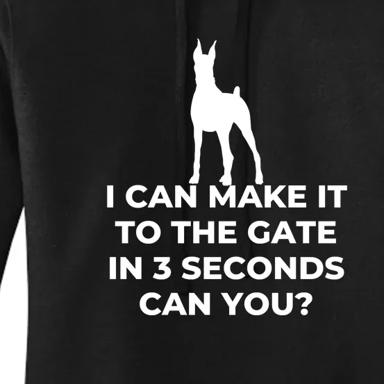 Dog Sign I Can Make It To The Gate In 3 Seconds Can You Women's Pullover Hoodie