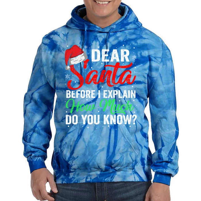 Dear Santa I Can Explain Funny Christmas Gift Adults Gift Tie Dye Hoodie